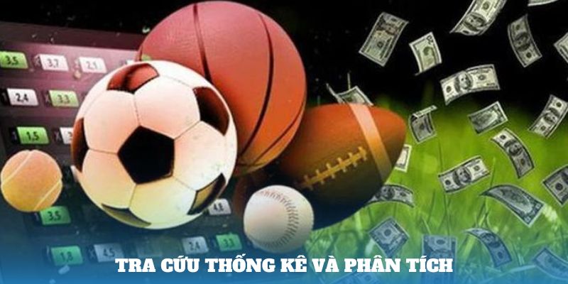 Tra cứu thống kê và phân tích